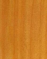 Western Red Cedar